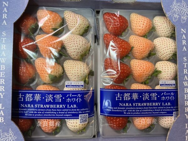 3olorsstrawberry