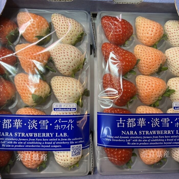 【三色草莓】古都華＋淡雪＋白珍珠