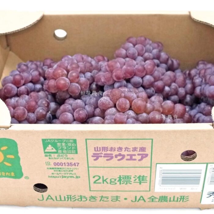 日本山形珍珠葡萄