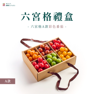六宮格蔬果禮盒-A款