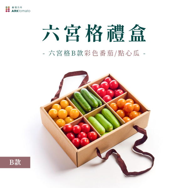 六宮格蔬果禮盒-B款