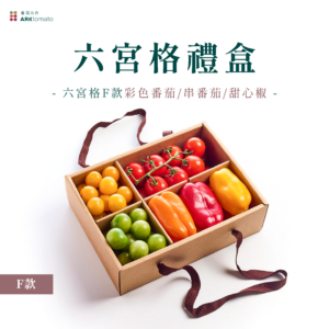 六宮格蔬果禮盒-E款