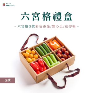 六宮格蔬果禮盒-G款