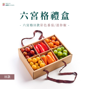 六宮格蔬果禮盒-H款