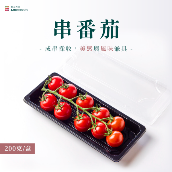 串番茄：圖片 2
