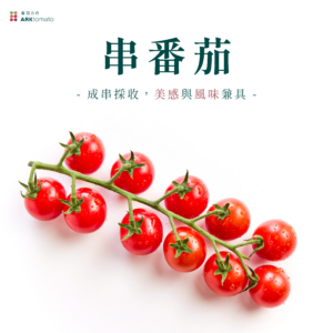 串番茄