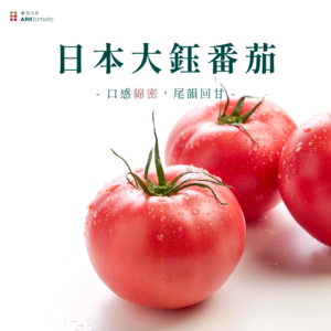 日本大鈺番茄