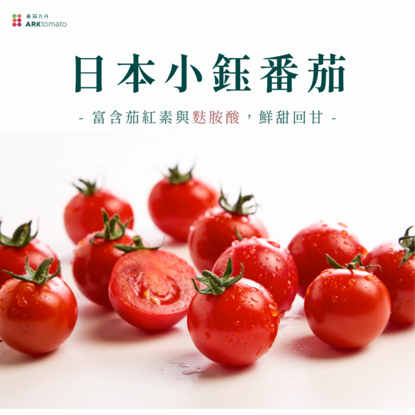 日本小鈺番茄