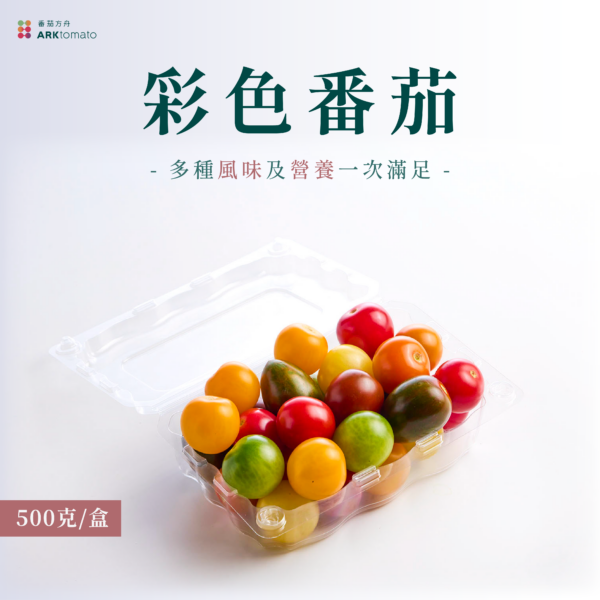 彩色番茄：圖片 3