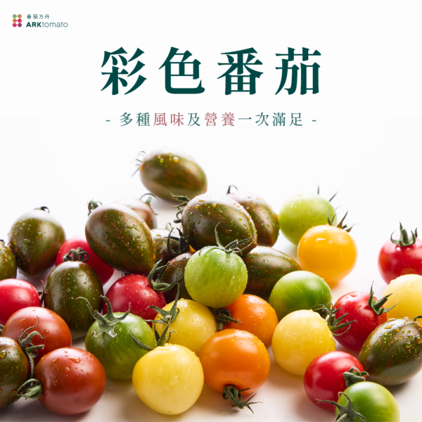 彩色番茄