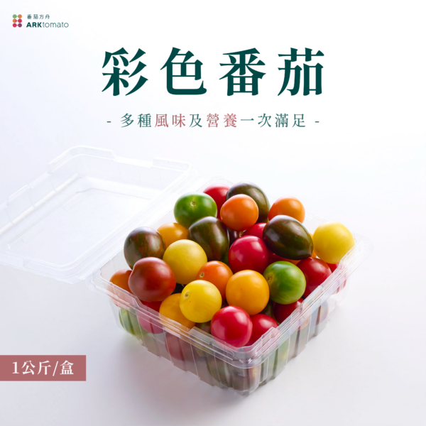 彩色番茄：圖片 2