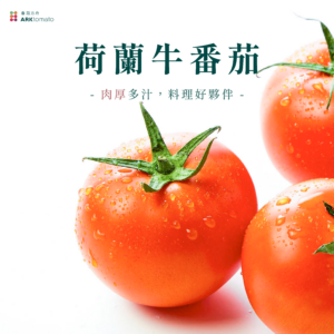 荷蘭牛番茄