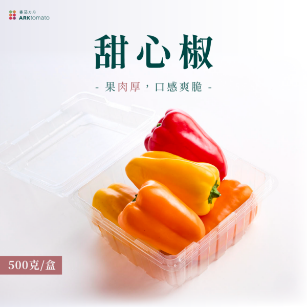 甜心椒：圖片 2