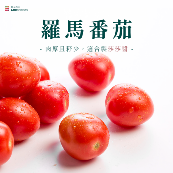 羅馬番茄