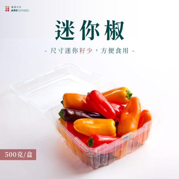 迷你椒：圖片 2