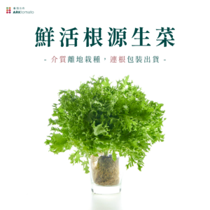 鮮活根源生菜